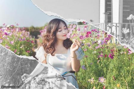 Dịch vụ ghép ảnh ấn tượng: Biến khoảnh khắc thành nghệ thuật