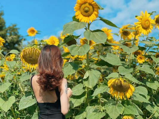 Chi phí dịch vụ chỉnh sửa ảnh online có cao hay không?