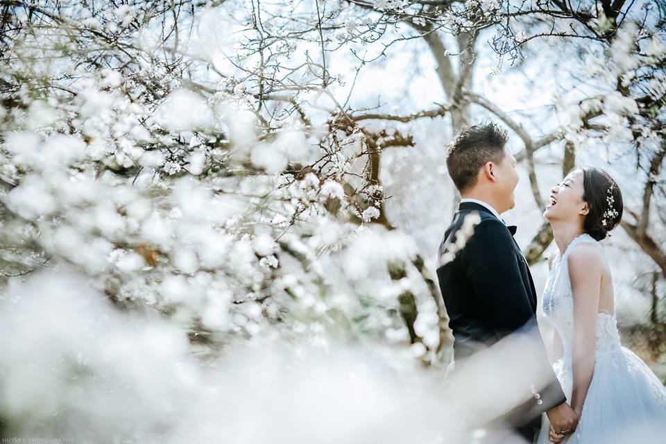 Album cưới kết hợp du lịch 2026 – Câu chuyện tình yêu qua từng khung hình