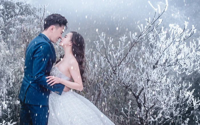 Album cưới kết hợp du lịch 2026 – Câu chuyện tình yêu qua từng khung hình