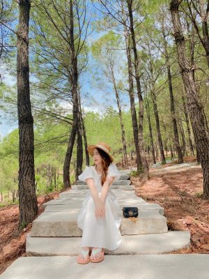 Concept chụp hình nghệ thuật đồi thông Đà Lạt hot nhất